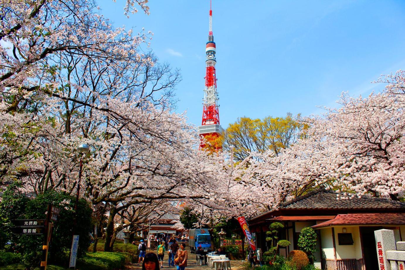 Rose Stay Tokyo Shiba Park Exterior photo