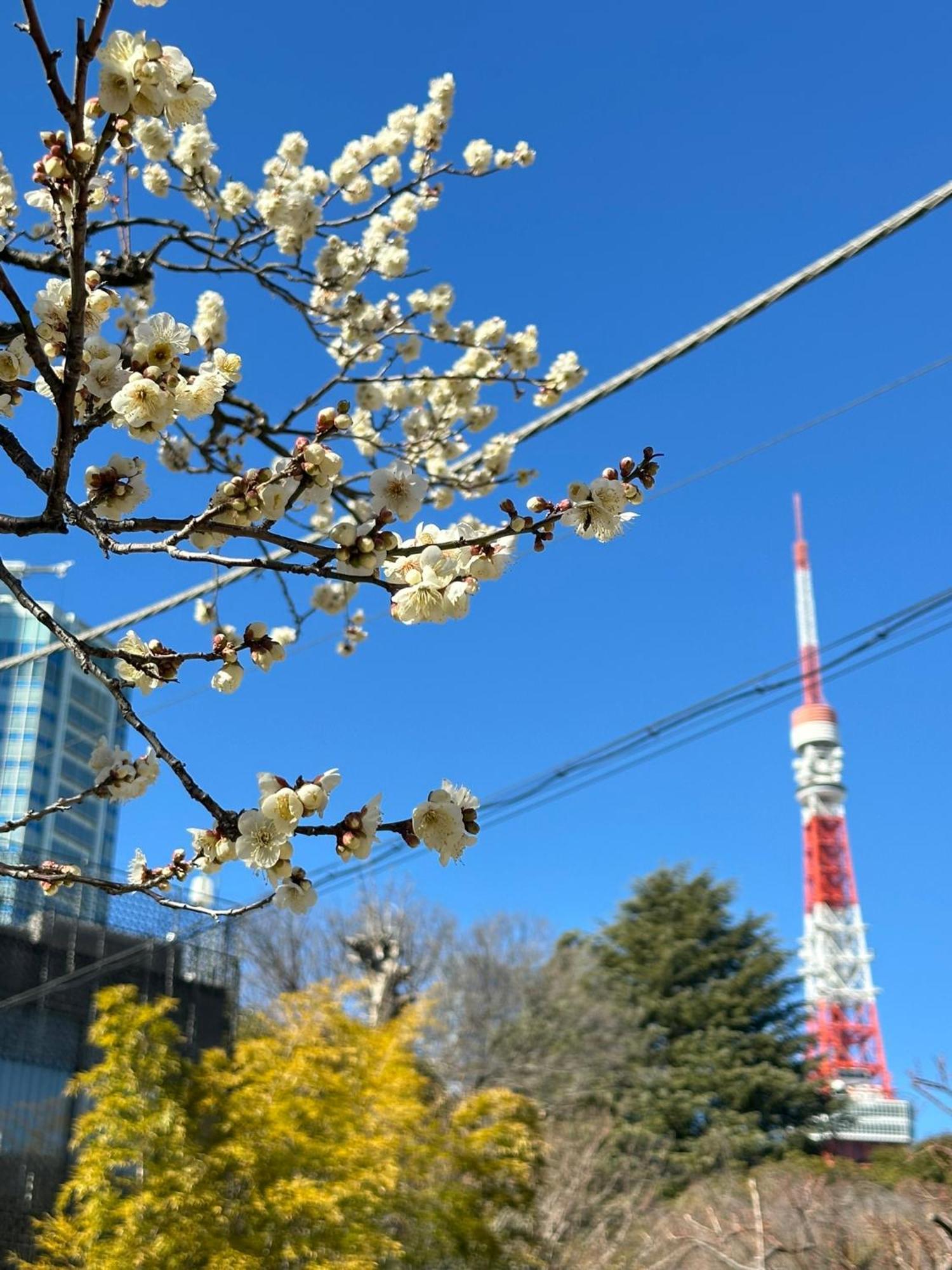 Rose Stay Tokyo Shiba Park Exterior photo
